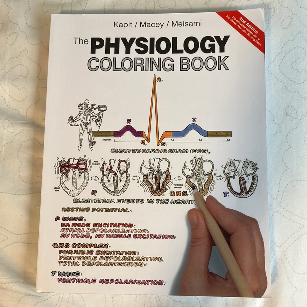 Physiology Colouring Book